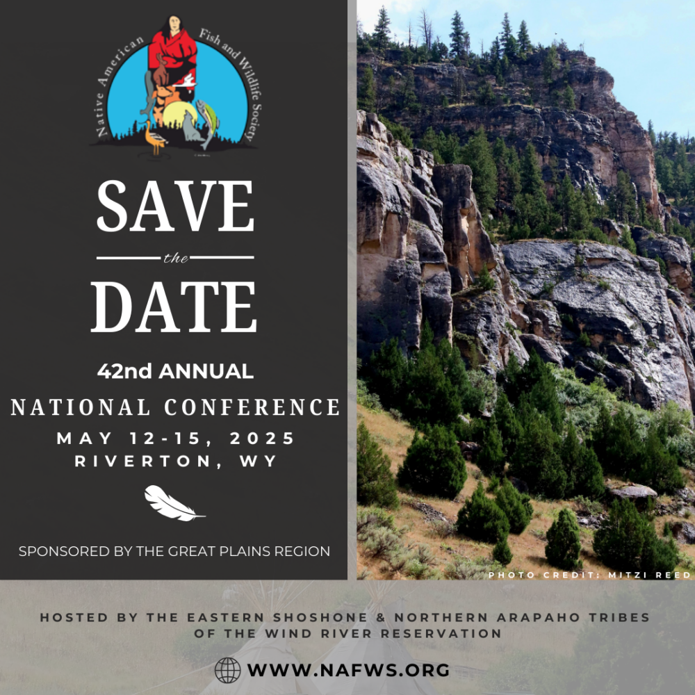 2025 National Conference Sponsorship Native American Fish and